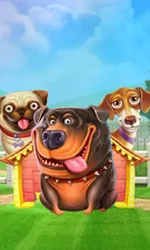 The Dog House