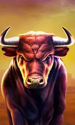 Black Bull